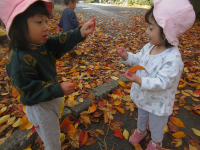 写真：はっぱどうぞ